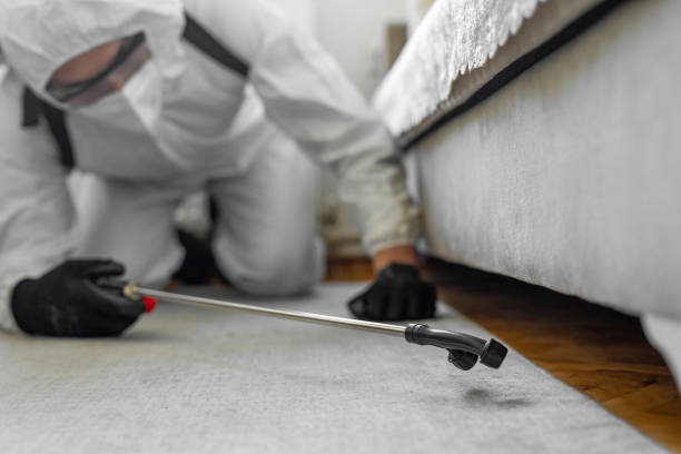 Professional Mosquito Control technician working in Hooks, TX