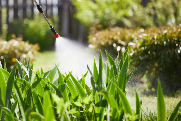 24/7 Emergency Mosquito Control experts in Hooks, TX