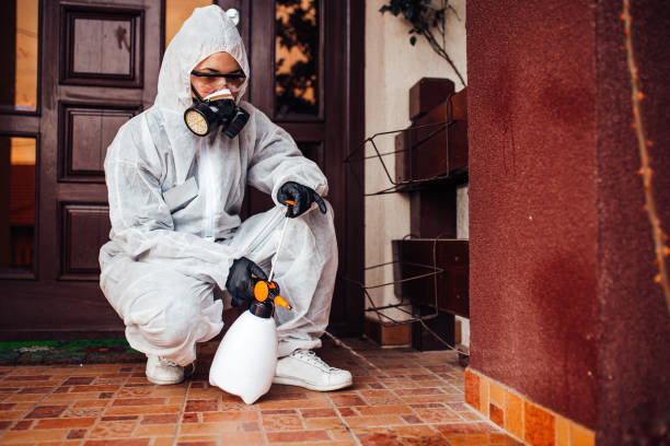 Reliable Mosquito Control contractor in Hooks, TX by Nex Pest Control