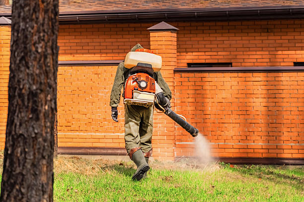 Top rated local Mosquito Control specialists in Hooks, TX